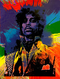 Prince - Centrifuge Foilz