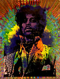 Prince - Centrifuge Foilz